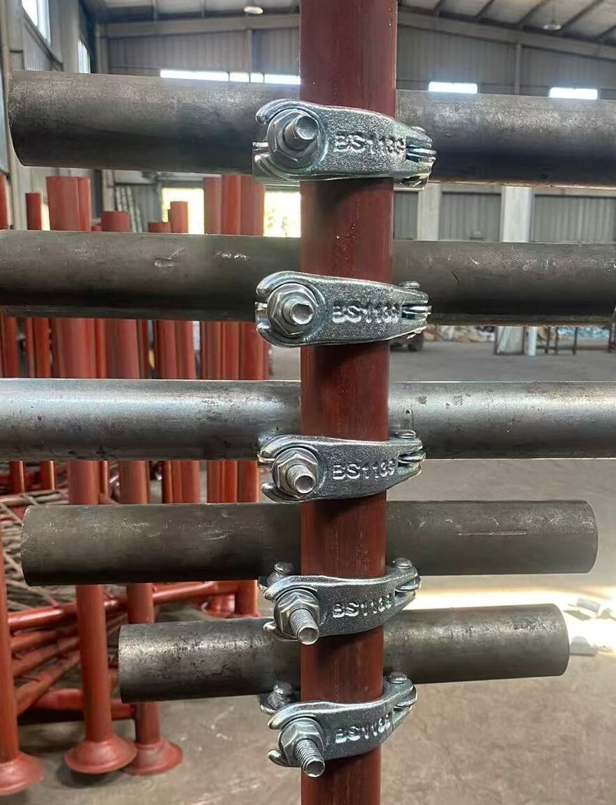 cropped 1cf6b95b 59aa 47f8 8484 572718e38e48 1.jpg